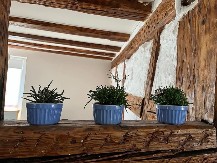 Nouvel Appartement, Le Colombage Heureux Sélestat Eksteriør bilde