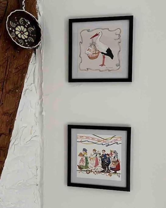 Nouvel Appartement, Le Colombage Heureux Sélestat Eksteriør bilde